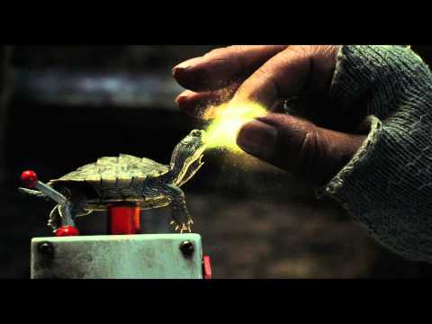 La dernière folie de Sono Sion : "Love & Peace" (voir ci-dessous)