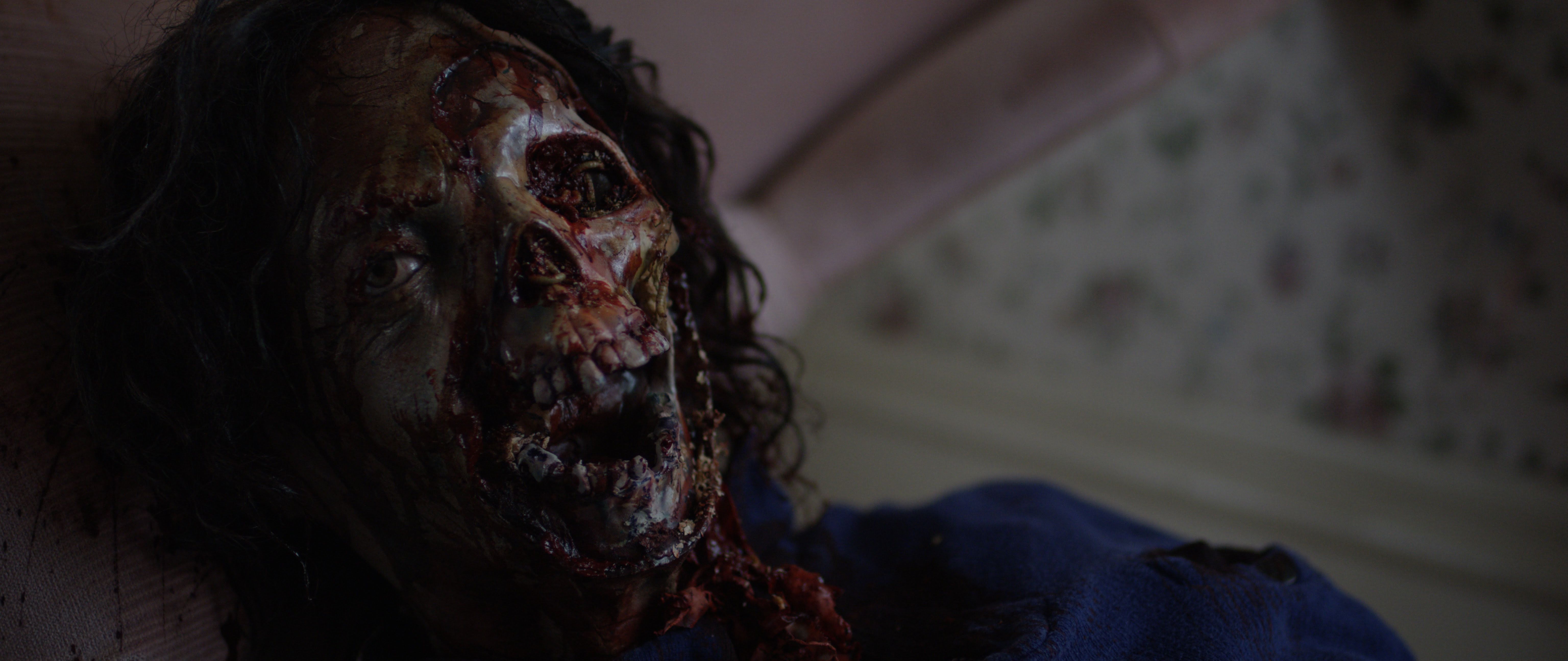 Zombies (2016)