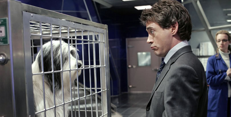 Robert Downey Jr. devient le nouveau DOCTEUR DOLITTLE…