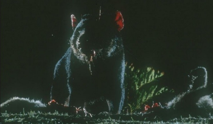 Produit grâce au financement participatif, un nouveau film de zombie australien, DEVIL WOMAN…