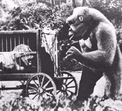 Mighty Joe Young
