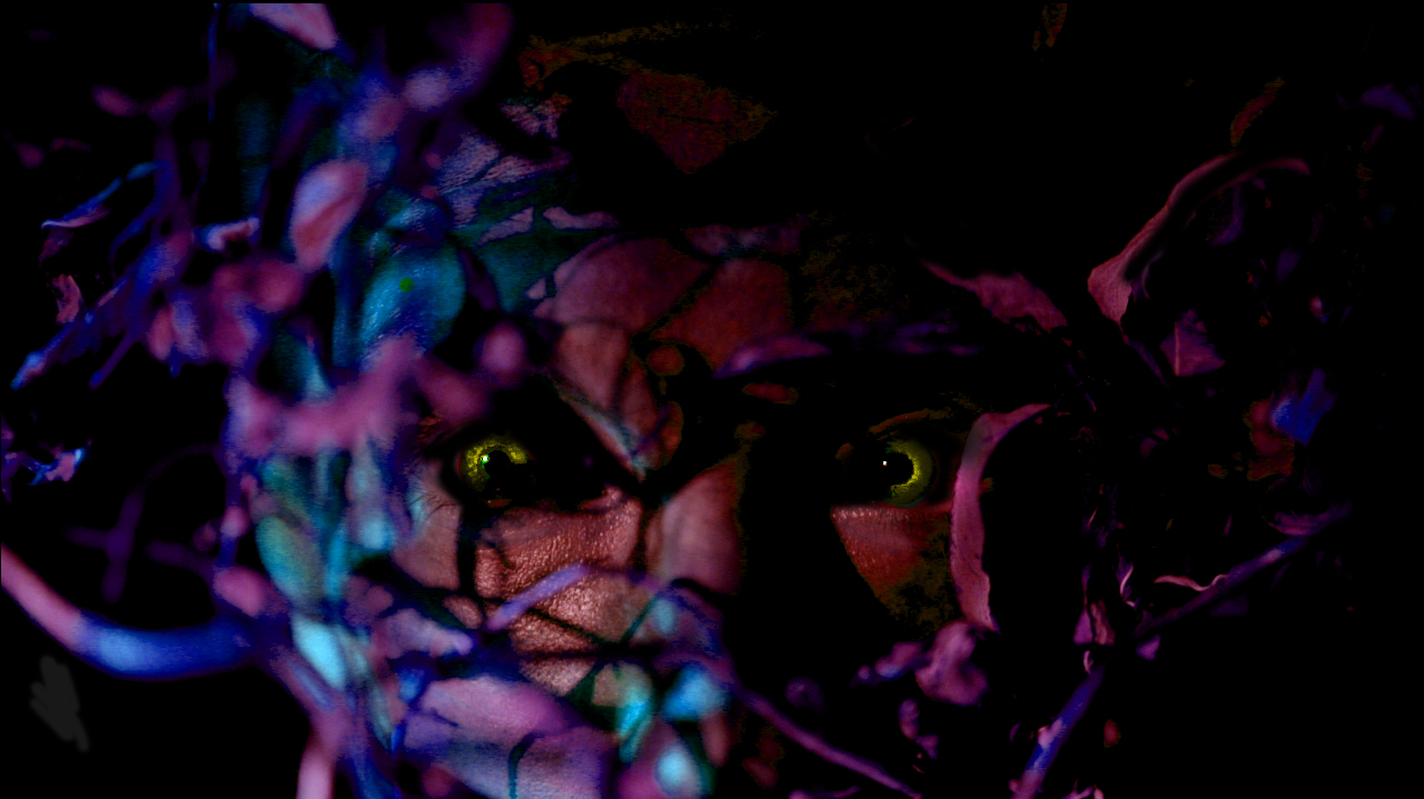 Une descente aux enfers dans le germanique HAGER….