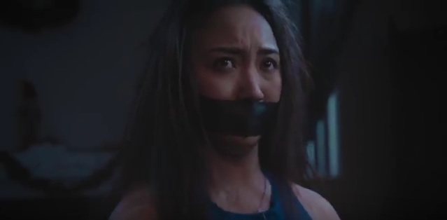 THE CHICKEN PARTY : voir ci-dessous