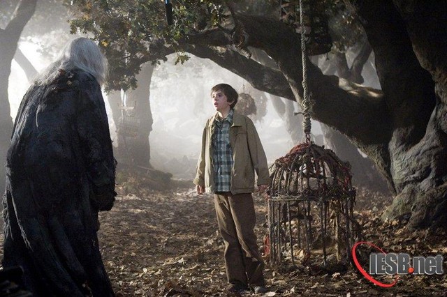 Les chroniques de Spiderwick