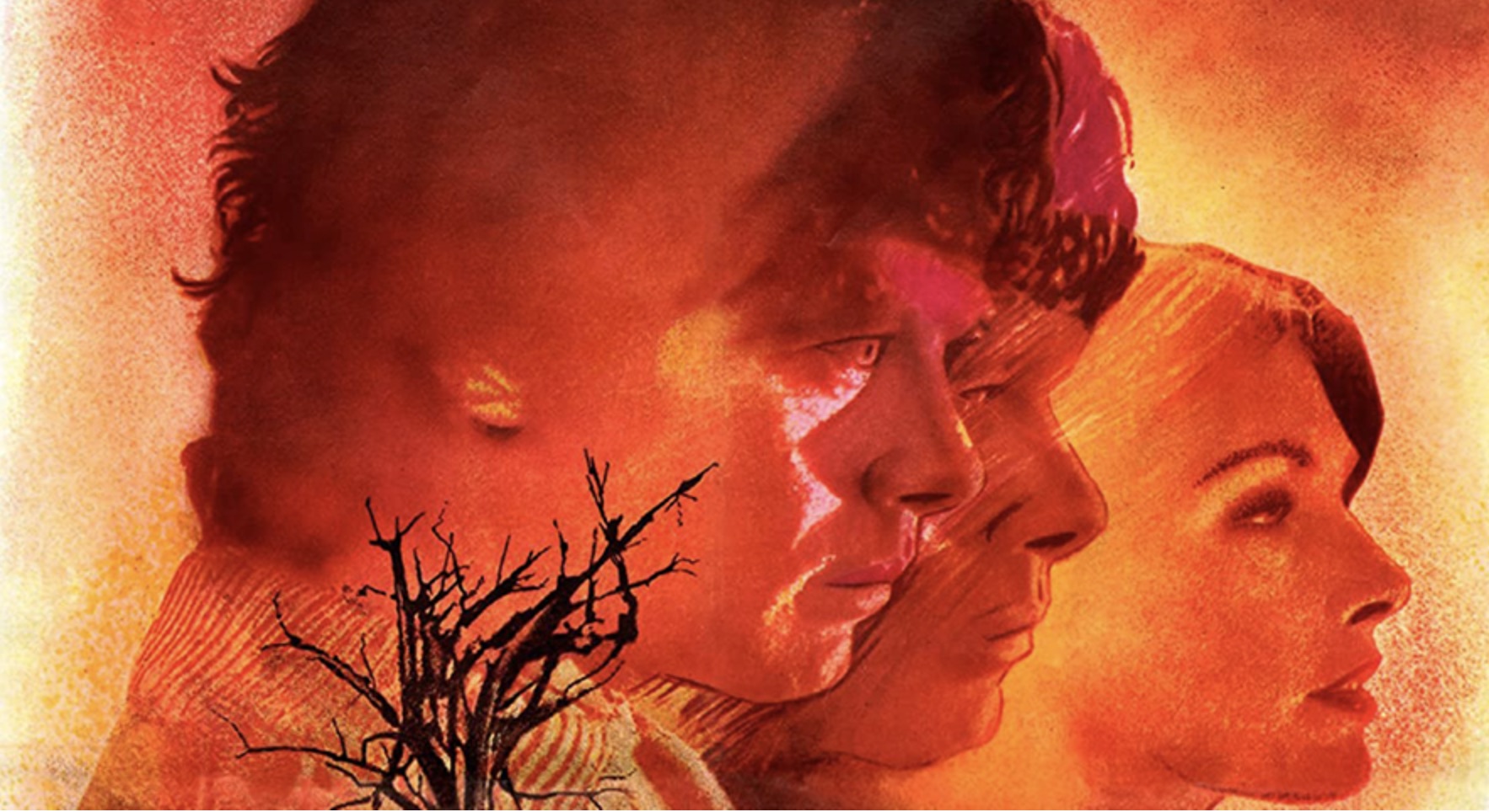 The Reincarnation of Peter Proud