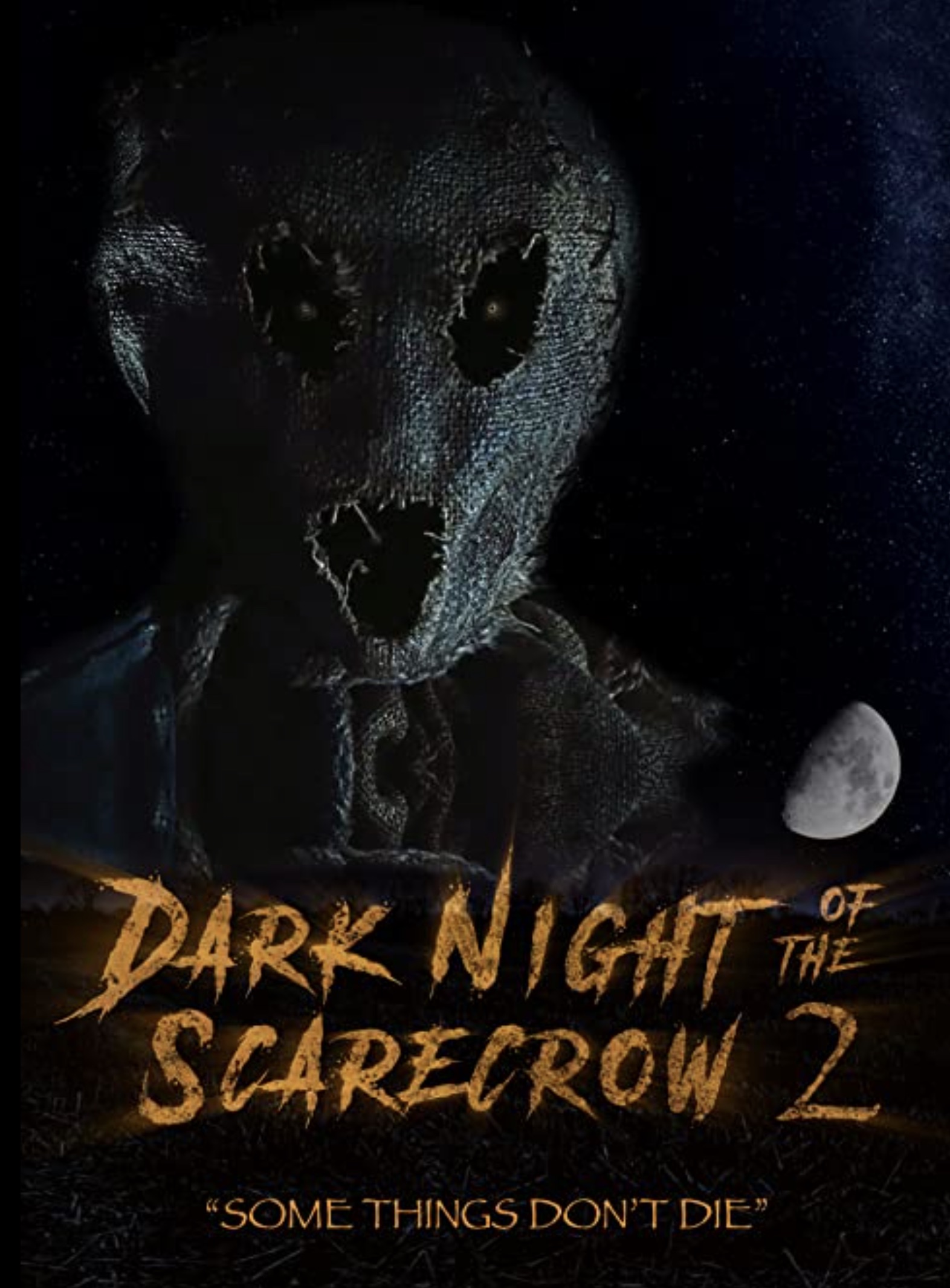 Dark Night of the Scarecrow 2