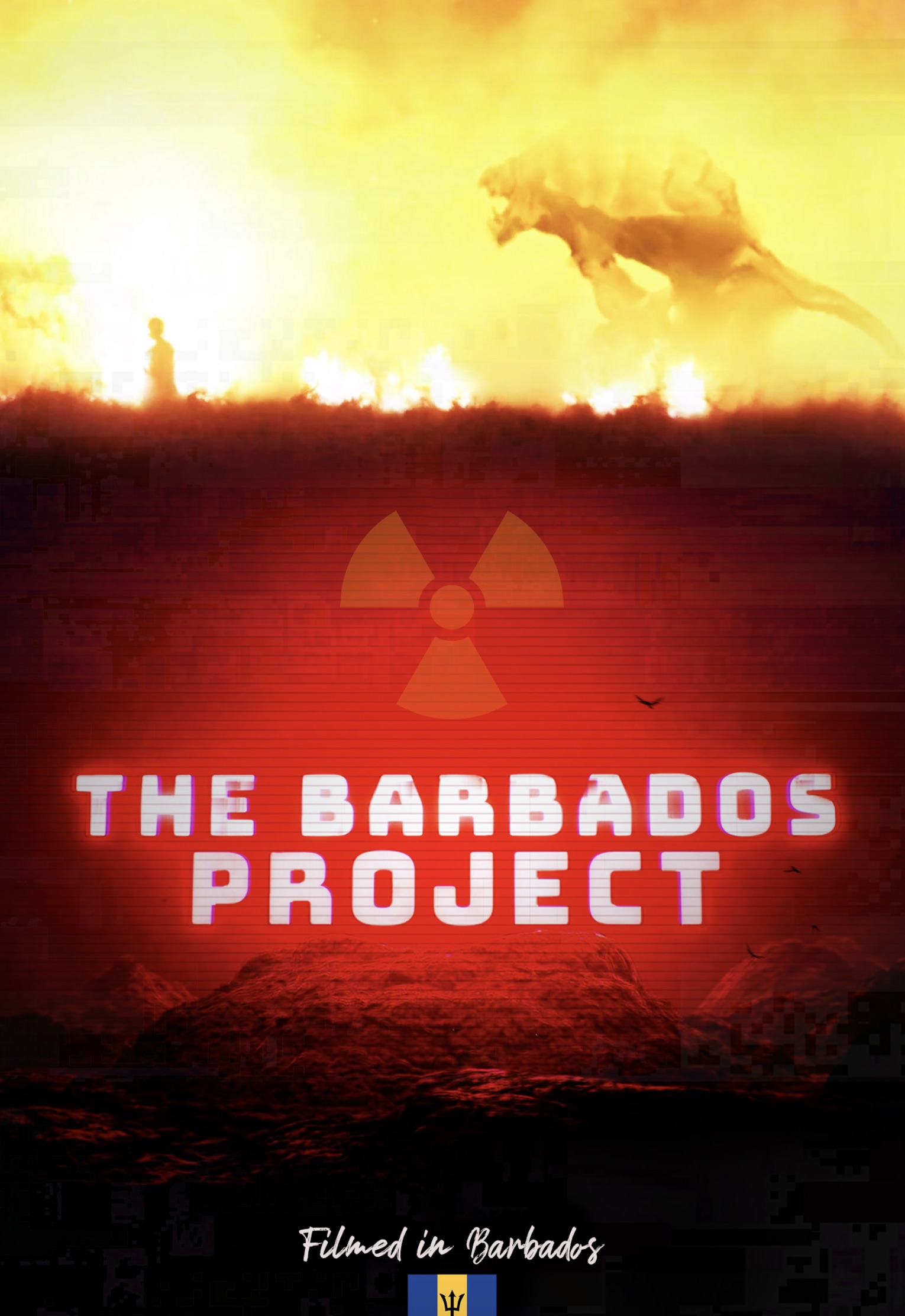 The Barbados Project
