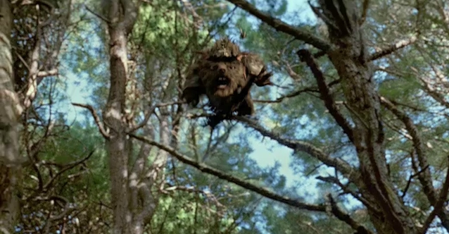 LE SECRET DE THERABITIA