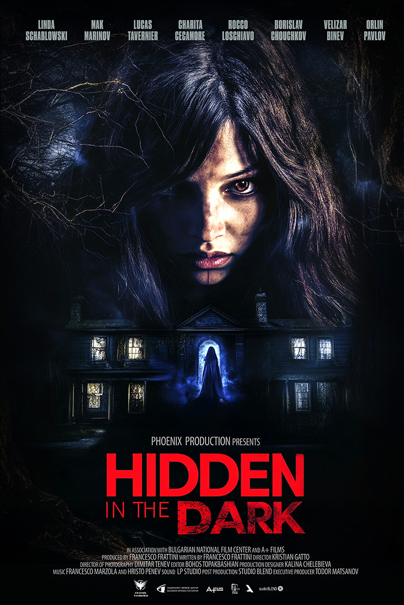 Hidden in the Dark 