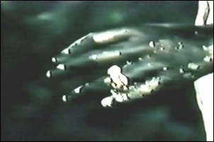 La Vénus d'Ille (avec Daria Nicolodi)