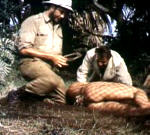 Liane, la sauvageonne  (1956)