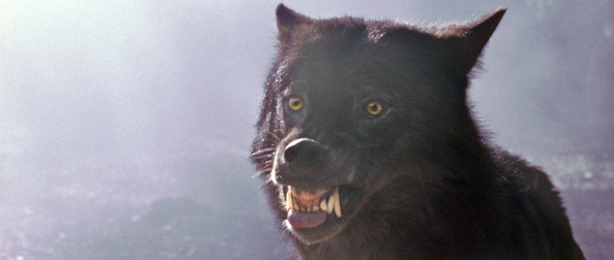 AN AMERICAN HAUNTING