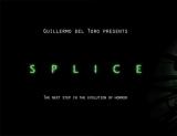 Splice