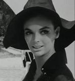 BARBARA STEELE