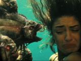 PIRANHA 3D (la nouvelle bande annonce) :