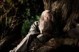 Bilbo le Hobbit