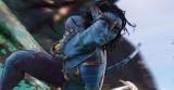 Déjà 4,5 millions d'entrées en France pour AVATAR ! Un début de carrière remarquable, qui en fait déjà  le 4e plus gros succès de l'année,après "L'Age de glace 3", "Harry Potter et le prince de sang-mêlé" et 'Le petit Nicolas" !