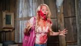 Tucker & Dale vs Evil