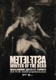 Meteletsa : Winter of the Dead