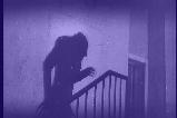 Nosferatu