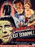 Frankenstein s'est échappé