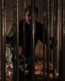 Wrath of the Crows (Italie 2012)