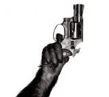 "Dawn of the Planet of the Apes" sortira  aux USA pour le Memorial Day 2014... (voir ci-dessous)