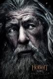 Le Hobbit: La bataille des cinq armées (2014)
