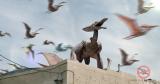 Après JURASSIC WORLD,la terreur des ptérodactyles volant se poursuit avec « Terrordactyl » (voir ci-dessous)