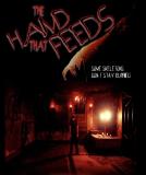 The Curse of Raven Heights