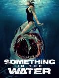 Something in the Water