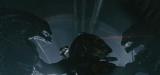 ALIEN vs PREDATOR 2