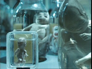 Sop (2006)(alias : Cadaver)