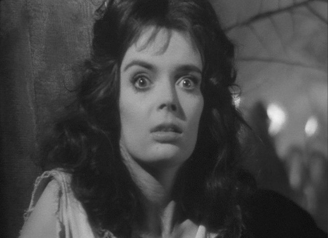 BARBARA STEELE