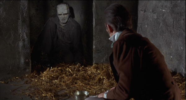 L'EMPREINTE DE FRANKENSTEIN