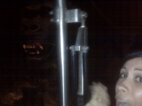 L'incendie ayant ravagé le studio Universal hier a détruit le célèbre square historique de "Retour vers le futur" ainsi que  plusieurs façades de décors mais surtout l'attraction "King Kong" !