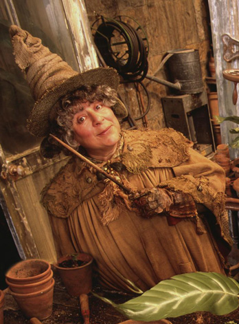 Miriam Margolyes va reprendre le rôle de Pomona Chourave, directrice de poussouffle et prof de botanique à Poudlard, dans "Harry Potter et les Reliques de la mort", un film en 2 parties, la première étant signée David Yates.