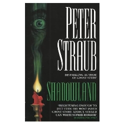 Basé sur le best-seller de Peter Straub de 1980, "Shadowland 3D", signé par le réalisateur tv canadien Erik Canuel ("Vampire High") sera un thriller sur un écolier devant décider s'il veut ou non vendre son âme pour sauver son meilleur ami...
