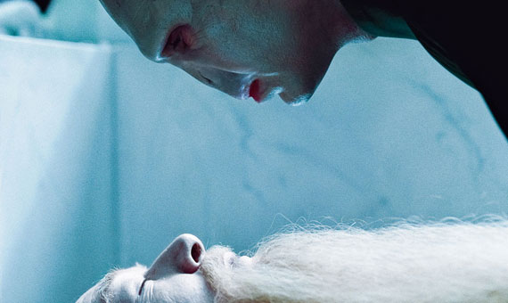 Harry Potter et les Reliques de la Mort, Partie 1