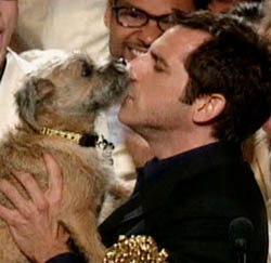 Une vie de chien : Un film fantastique avec Ben Stiller pour le scénariste de "Paranormal Activity 2" (suite ci-dessous)