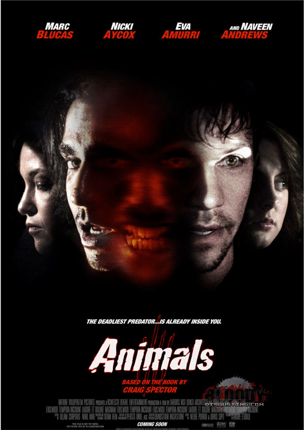 Animals