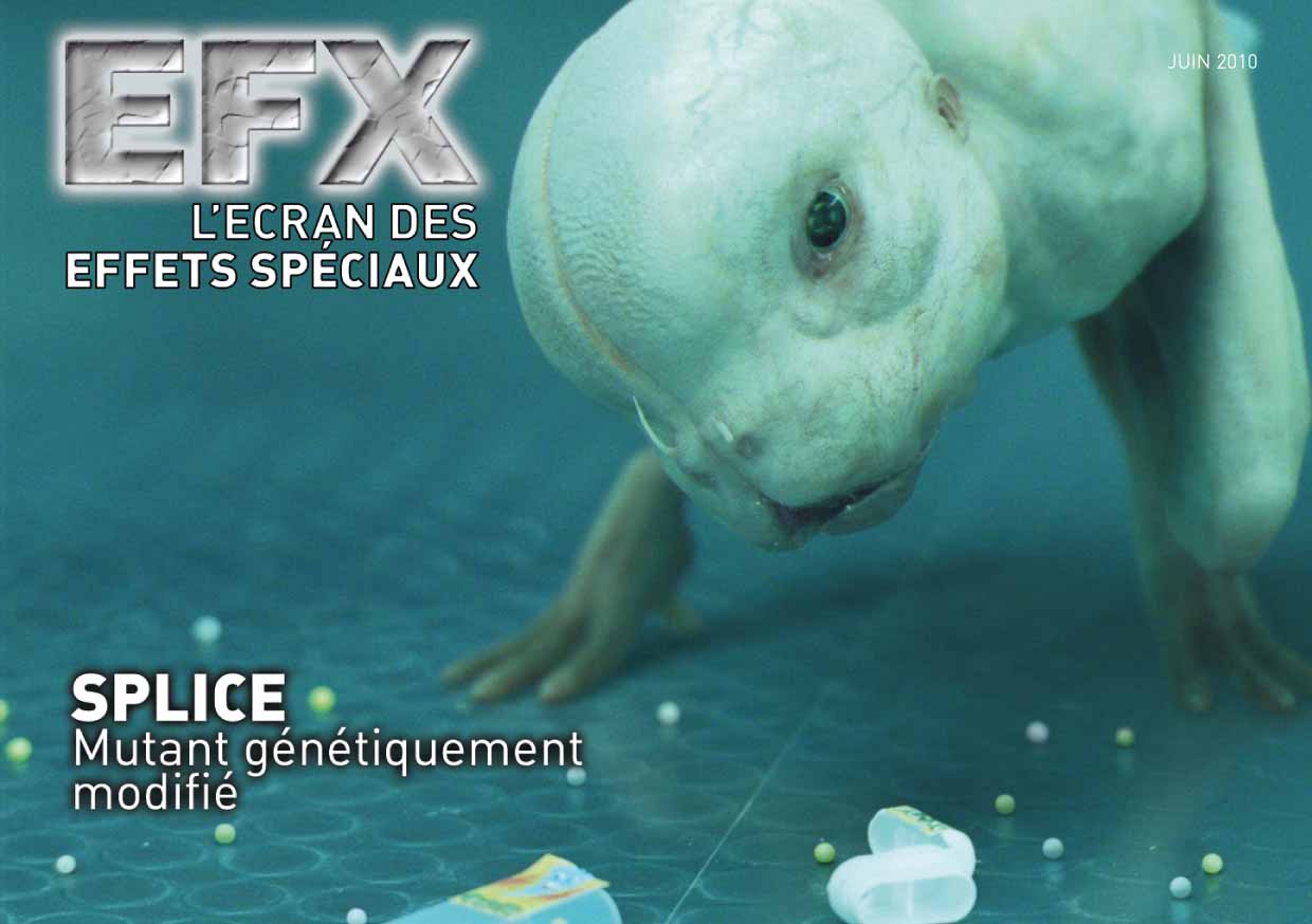 E.F. n°310