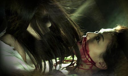 Après "Womb Ghosts", le réalisateur-scénariste Dennis Law et sa vedette Chrissie Chow vont enchaîner sur une nouvelle oeuvre du genre, qui mettra cette fois en scène des tueurs de vampires pratiquant le kung fu ! (voir ci-dessous)