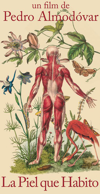 C'est le 16 novembre que sortira en France le nouveau Pedro Amoldovar, "La peau que j'habite"....  (voir ci-dessous)