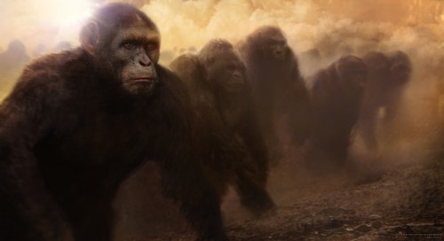 dessins de production