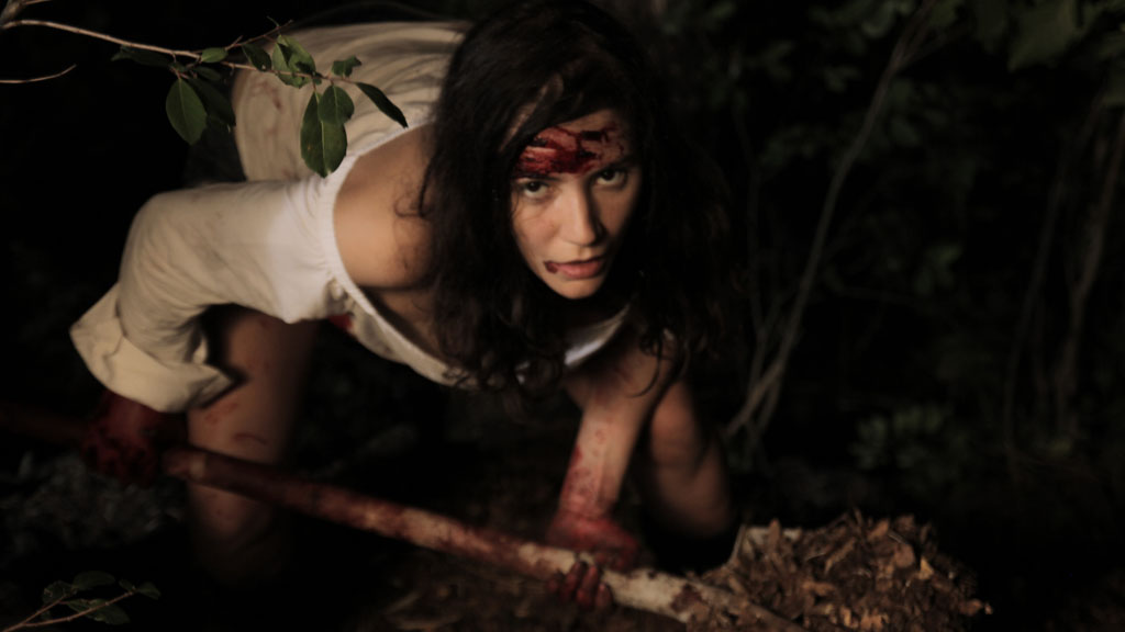 Hidden in the Woods (2011)