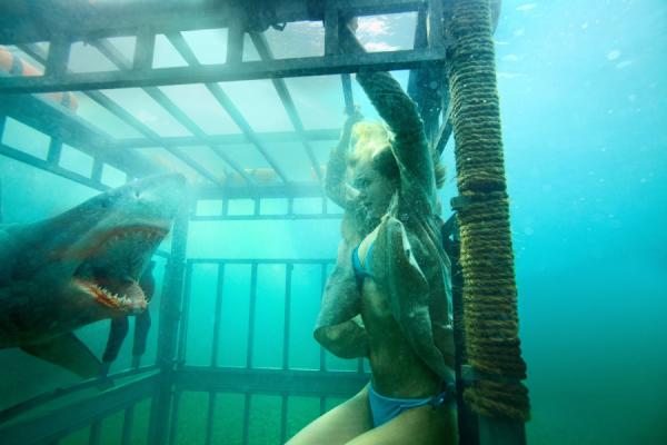 L'ancien cascadeur David R. Ellis, réalisateur alternativement efficace (Destination finale 2 & 4) ou maladroit (Des serpents dans l'avion) renoue avec l'horreur en relief pour "Shark Night" 3D, qui sortira le 13 septembre aux USA.