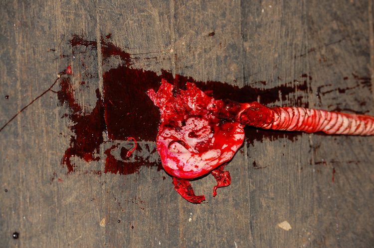 ...contenant des chenilles contaminées est introduit sur les lieux, ce groupe de losers devant peu après se battre contre une horde des vers mutants dévoreurs de cerveaux !