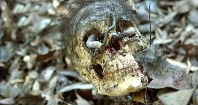 Cannibal Holocaust
