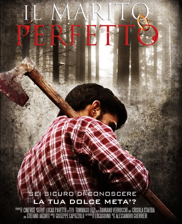 Il Marito perfetto (2011)